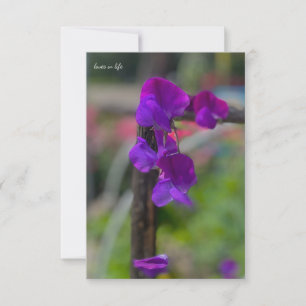 Purple Sweet Pea Note Card