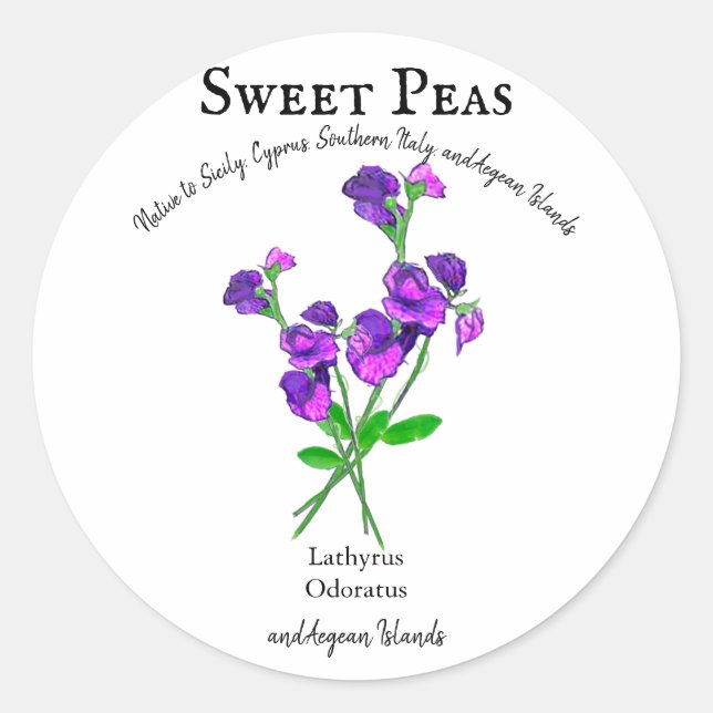Purple Sweet Peas Flowers Art with Text Classic Round Sticker (Front)
