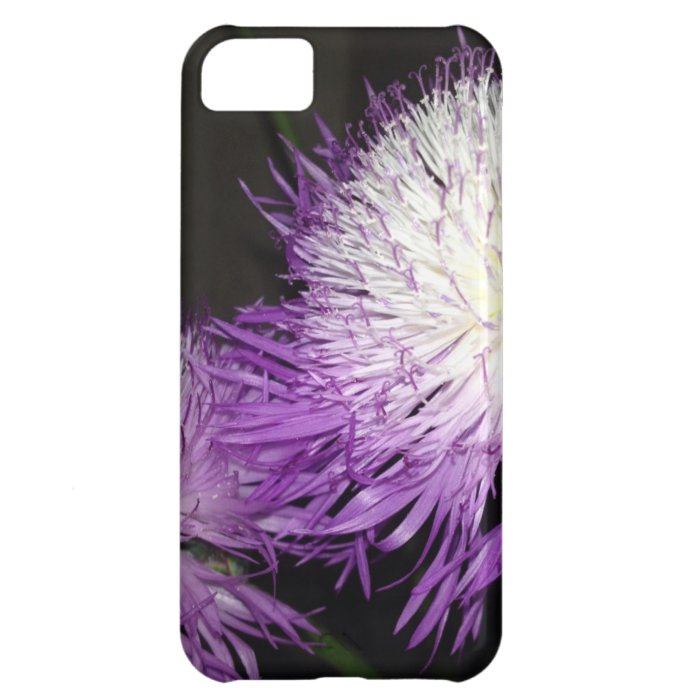 Purple Sweet Sulton iPhone 5C Covers