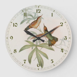 Purple-tailed Avocet Hummingbird by John Gould Large Clock