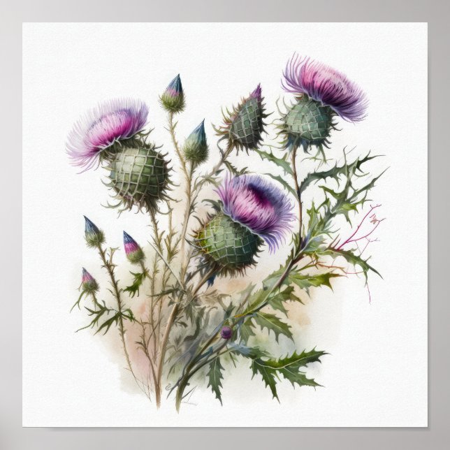 Purple Thistle Flower Art Print Poster (Front)
