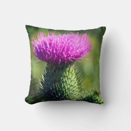 Purple Thistle Flower Close Up  Throw Pillow