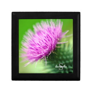 Purple Thistle Gift Box