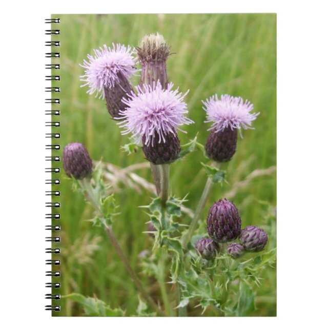 Purple Thistle Notebook (Front)
