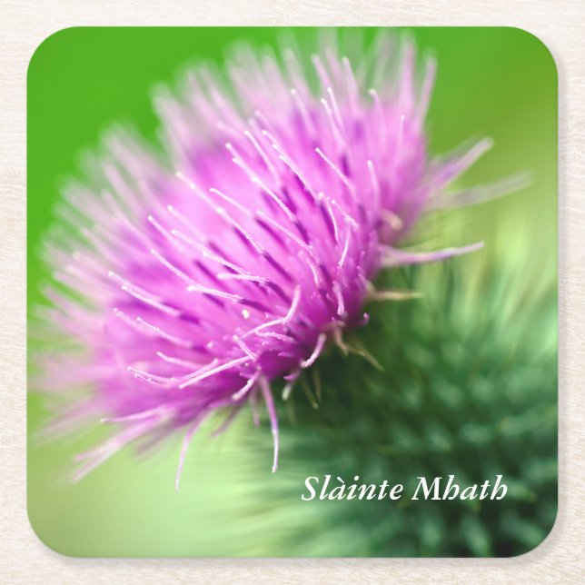 Purple Thistle Square Paper Coaster (Front)