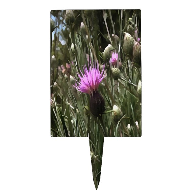 Purple Thistle Wildflower Realistic Art  Cake Topper (Front)