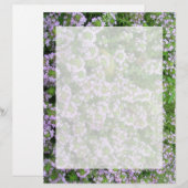 Purple Thyme (Front/Back)
