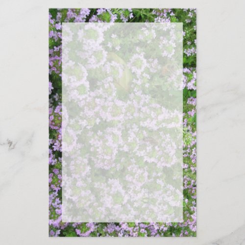 Purple Thyme Stationery