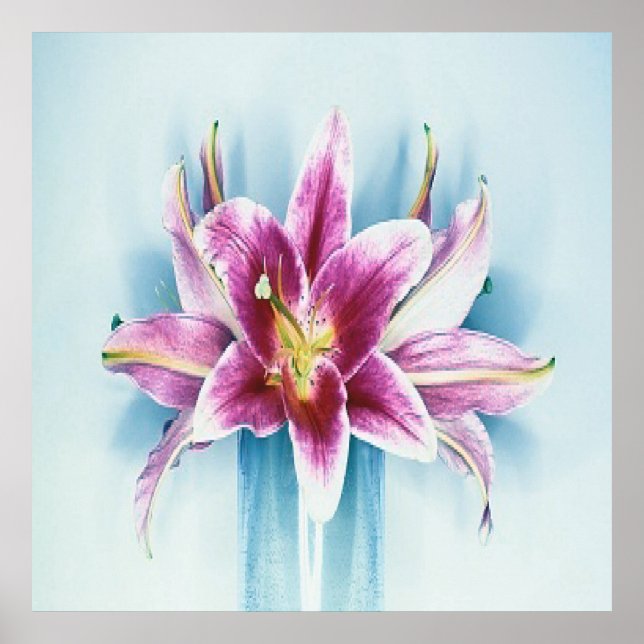 Purple Tiger Lilly Poster (Front)