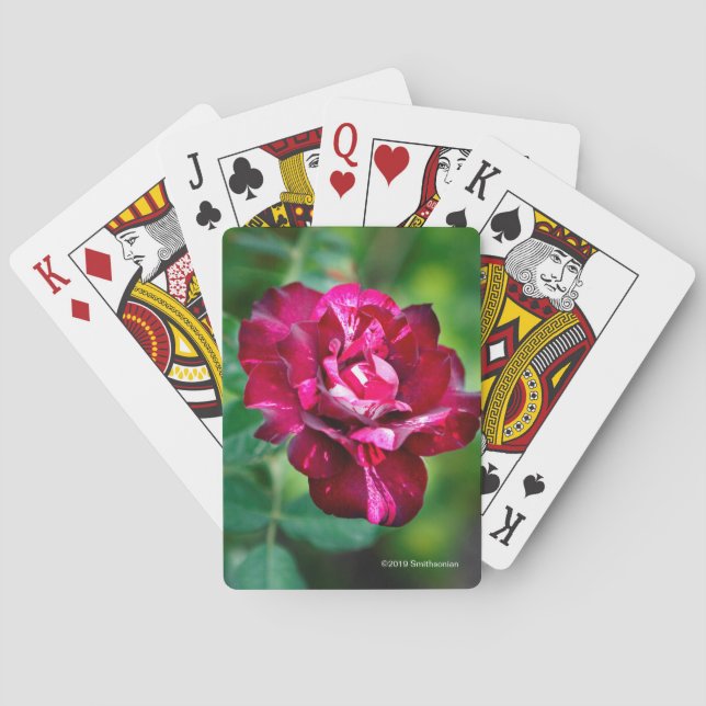 Purple Tiger Rose Poker Cards (Back)