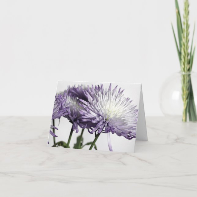 Purple Tipped Spider Mum Panorama Note Card (Front)