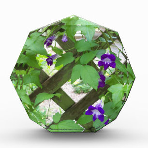 purple trailing snap dragons acrylic award