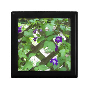 purple trailing snap dragons gift box