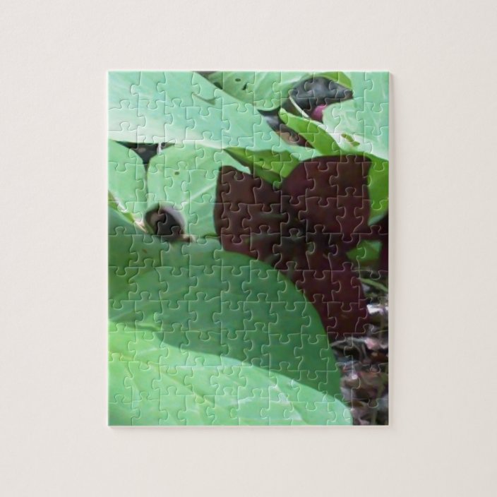 trillium wooden puzzles