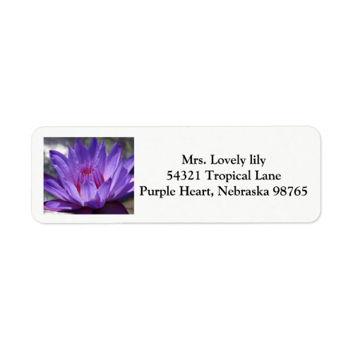 Purple Tropical waterlily return labels 2017