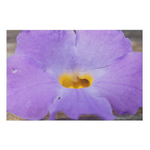 Purple Trumpet Flower Faux Canvas