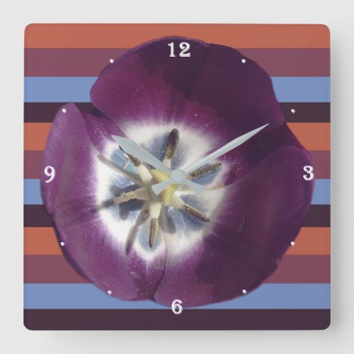 Purple Tulip And stripes  Wall Clock