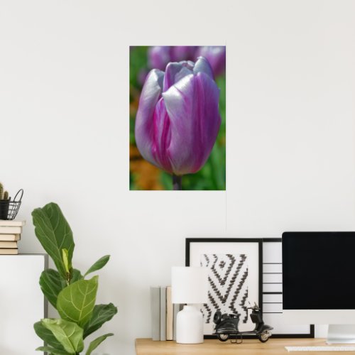 Purple Tulip Art Poster