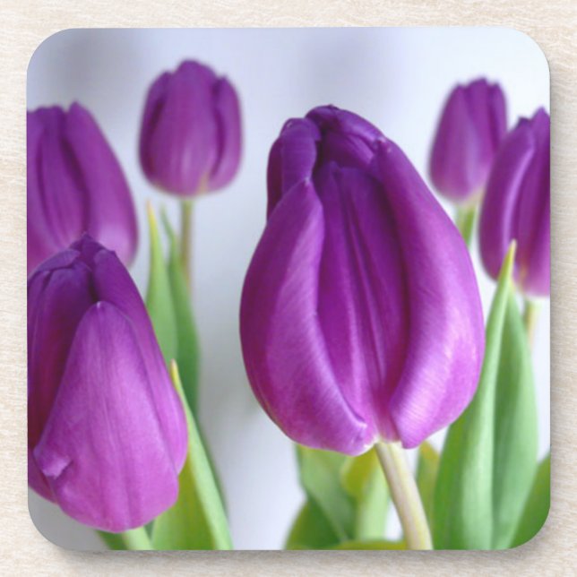 Purple Tulip Beverage Coaster (Front)