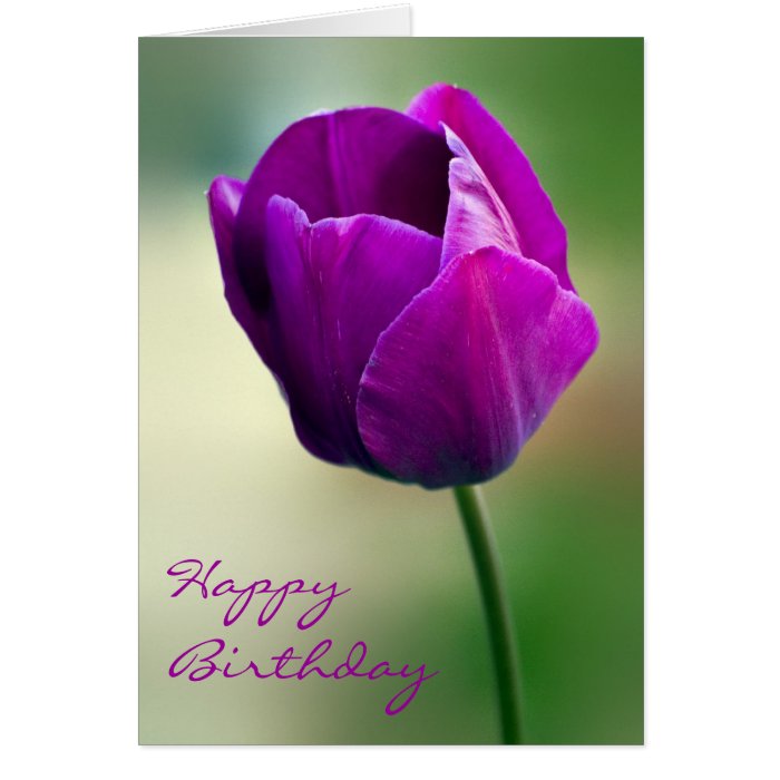 Purple Tulip Birthday Card