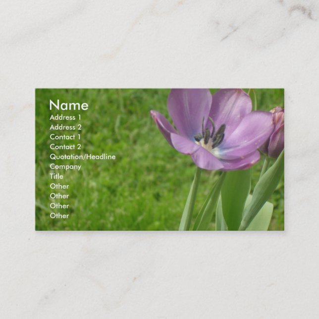 Purple Tulip Business Card (Front)
