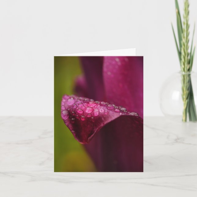 Purple Tulip Card (Front)