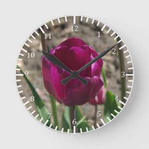 Purple Tulip clock