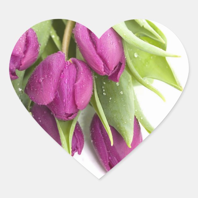 PURPLE TULIP ENVELOPE SEAL STICKERS (Front)