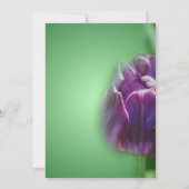 Purple Tulip Flower Bridal Shower Invitation (Back)
