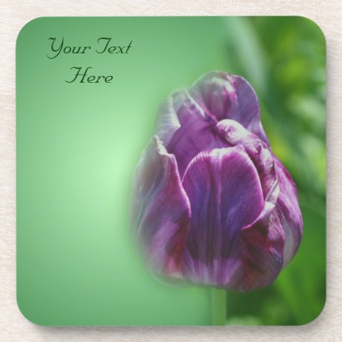 Purple Tulip Flower Nature Coaster Set