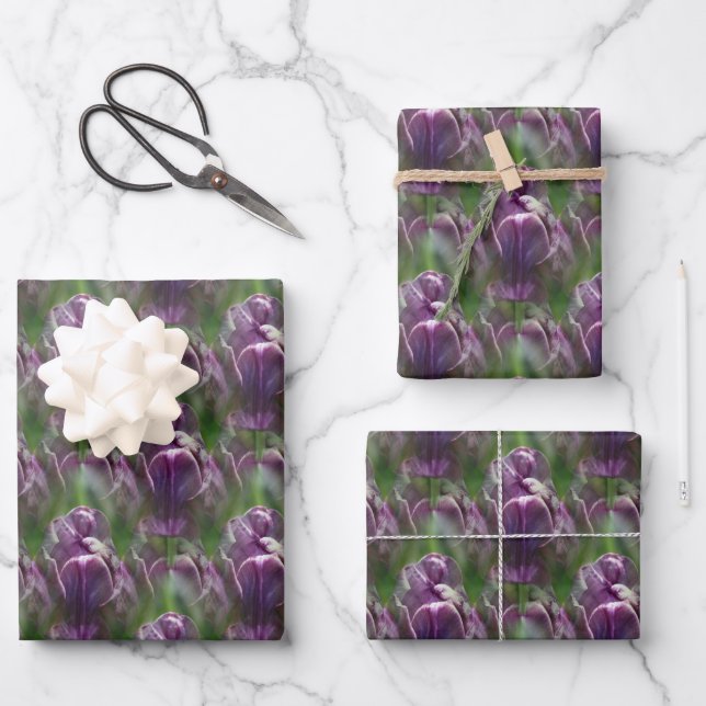 Purple Tulip Flower Nature Pattern   Wrapping Paper Sheets (Front)