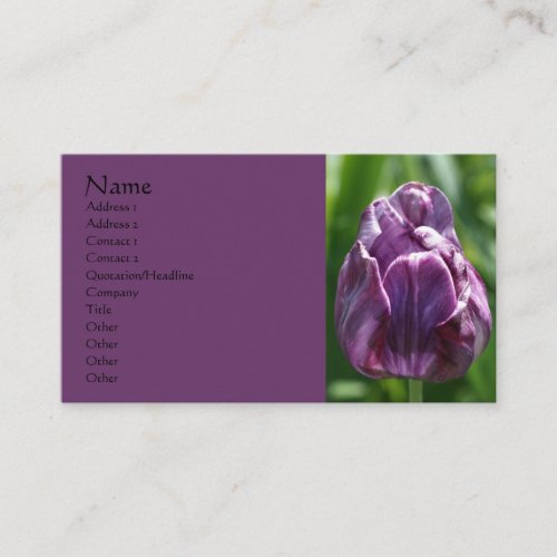 Purple Tulip Flower Photography Business Card