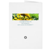 Purple Tulip Hyacinths (Back)