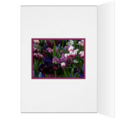 Purple Tulip Hyacinths Cards (Inside (Left))
