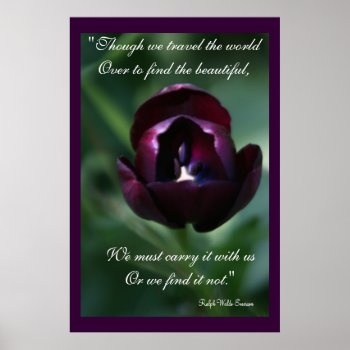 Purple Tulip Inspirational Poster by TheInspiredEdge at Zazzle