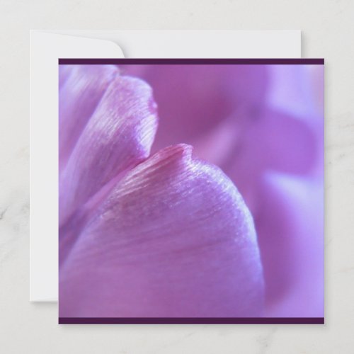 Purple Tulip Petal Invitation