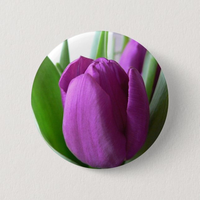 Purple Tulip Pinback Button (Front)