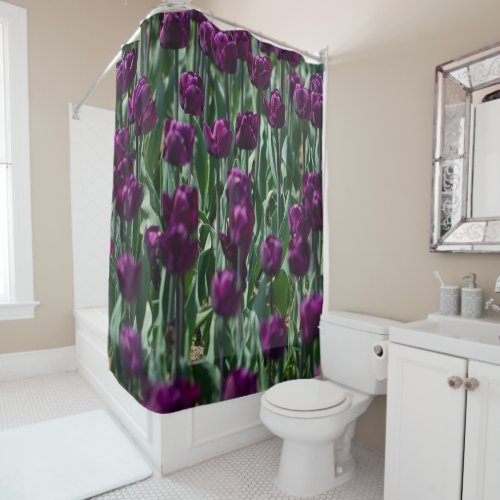 Purple Tulip Shower Curtain