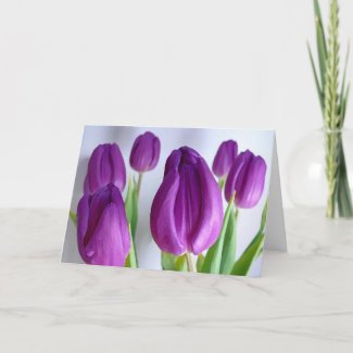 Purple tulips against wall (in Paint) card