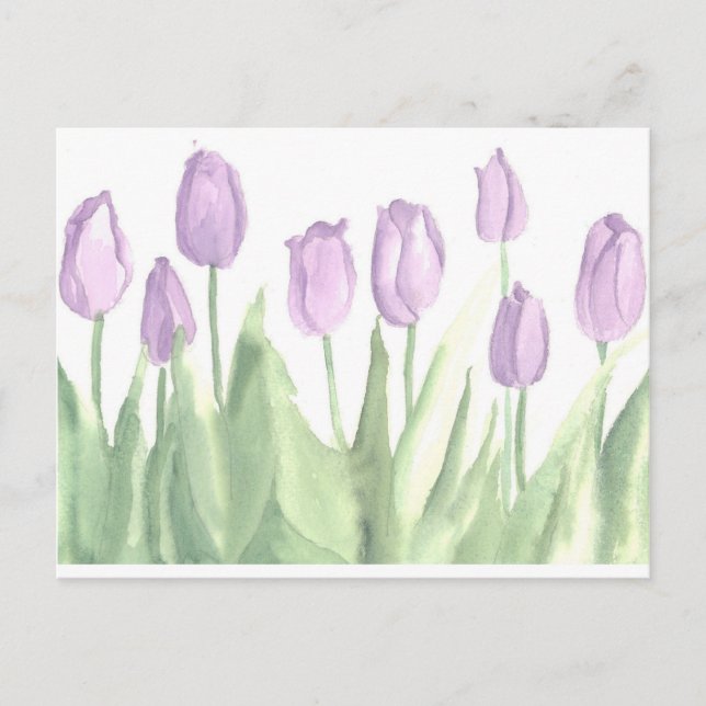 Purple Tulips Garden Watercolor Flowers Postcard (Front)