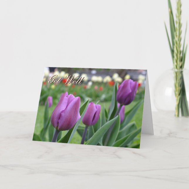 Purple Tulips - Get Well-Customize Card (Front)