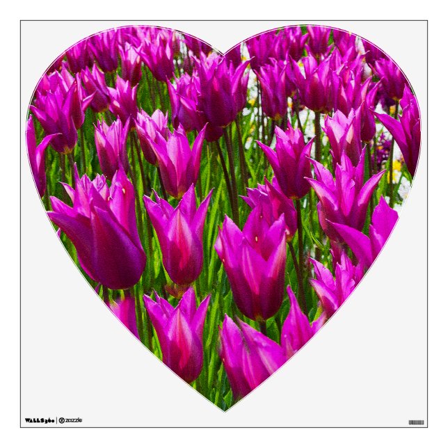 Purple Tulips in Keukenhof, Holland  Wall Decal (Front)