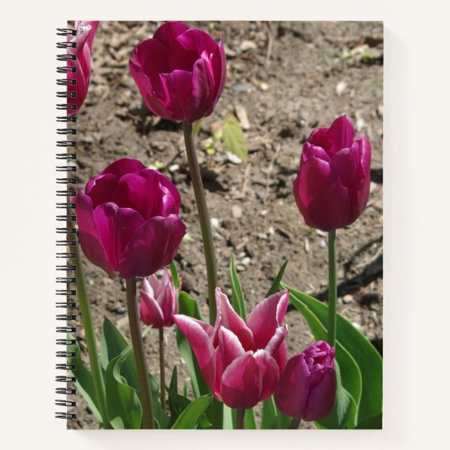 Purple Tulips notebook (Front)