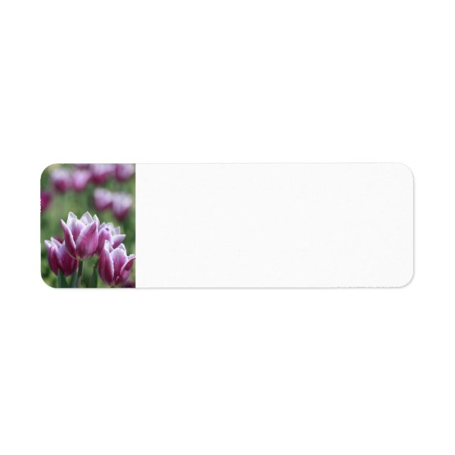 Purple Tulips, Spring Address Labels (Front)