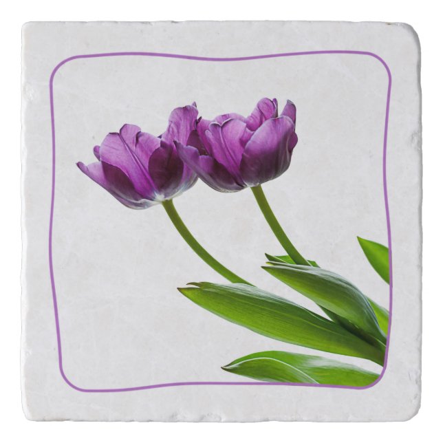 Purple Twin Tulips Spring Floral Isolated Photo Trivet (Front)