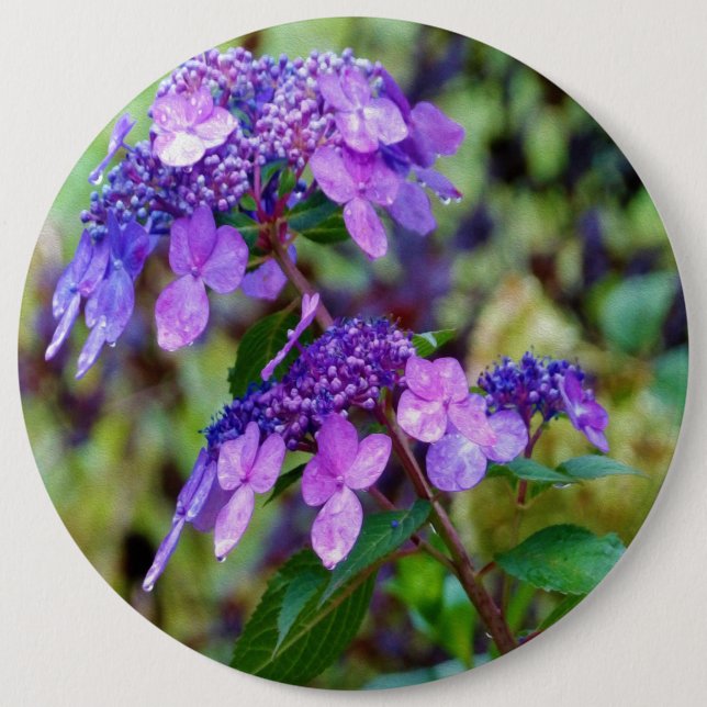 Purple Twist and Shout Hydrangea Flower Button (Front)