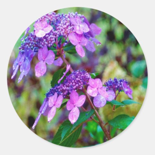 Purple Twist and Shout Hydrangea Flower Classic Round Sticker