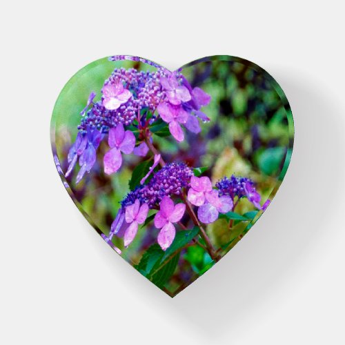 Purple Twist and Shout Hydrangea Flower Paperweight