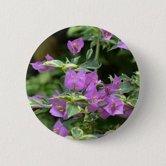 Purple Variegated Crepe and Myrtle Button (Front)