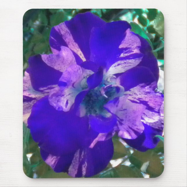 Purple Variegated Rose mousepad (Front)